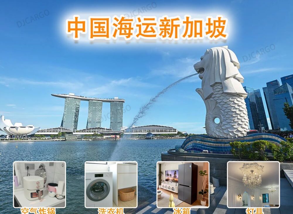 洗衣机、空气炸锅、冰箱电器海运到新加坡（全流程攻略）