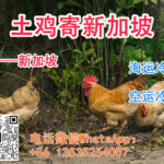 如何将国内购买的真宗土鸡寄到新加坡呢？可以海运/空运冷冻到家吗？