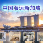 家具,沙发,电器,建材到新加坡海运大庄双清到门-递接