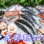 冷冻美食轻松寄新加坡，海运拼箱冷链负18度出口-优质冷链