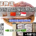冷冻白条鸭，老母鸡海运出口新加坡，双清送货到门-海运冷链