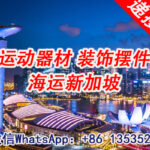 运动器材，装饰摆件海运新加坡，海运双清到门运输-优质物流
