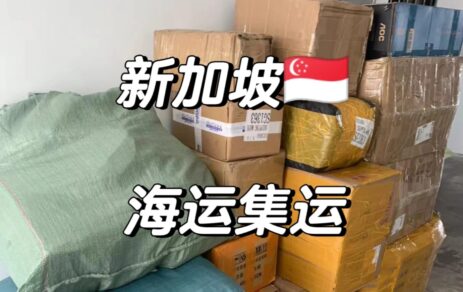 第一次海运家具到新加坡如何省钱？如何避坑？-DJCARGO