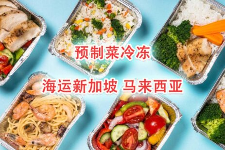 预制菜、冷冻食品、海鲜肉类海运冷链拼箱—新加坡马来西亚