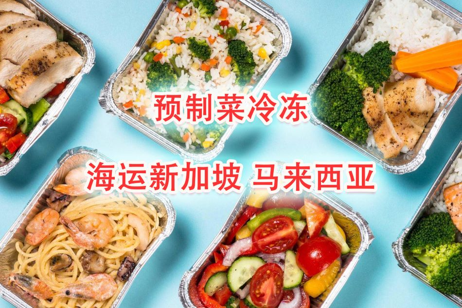 预制菜、冷冻食品、海鲜肉类海运冷链拼箱—新加坡马来西亚