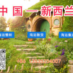 在新西兰开店海运食品/移民搬家家具需要什么资料清关?