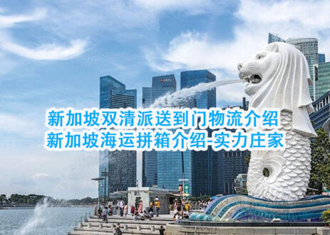 新加坡双清派送到门物流介绍 新加坡海运拼箱介绍-实力庄家