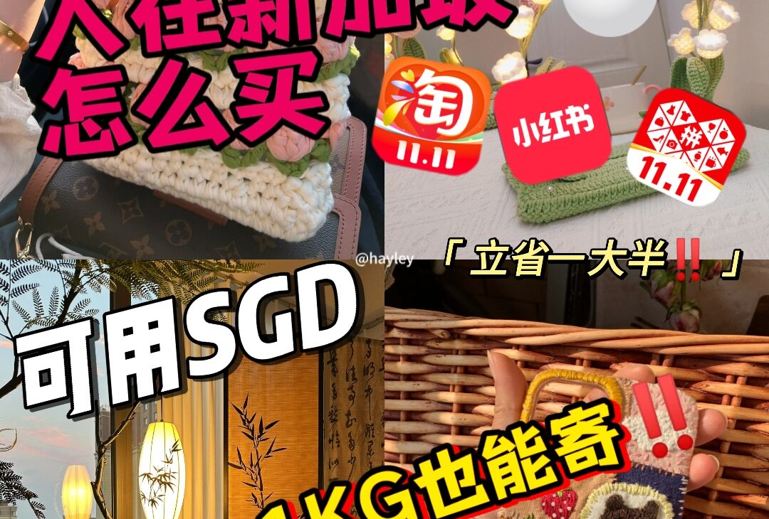 从小红书购买货物去新加坡运费怎么计算呢？可以使用新币吗？