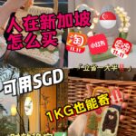 从小红书购买货物去新加坡运费怎么计算呢？可以使用新币吗？