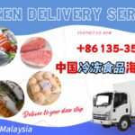 冷冻美食直达新加坡：小量也能享受海运冷链拼箱服务