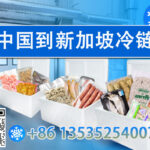 无需进出口资质，轻松寄送冷冻食品到新加坡：一站式冷链物流服务