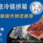 让思念不再遥远：中国冷冻美食12天送达新加坡