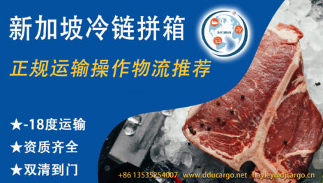 让思念不再遥远：中国冷冻美食12天送达新加坡