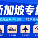 专业新加坡海运物流公司，提供全方位双清到门服务--递接物流