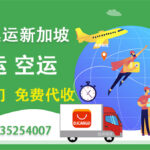 中国至新加坡海运费用及流程全解析——网购集运轻松搞定!