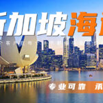 天津港整柜20尺到新加坡双清到门服务