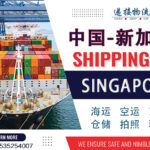 中国到新加坡物流专线/空运/海运/双清到门