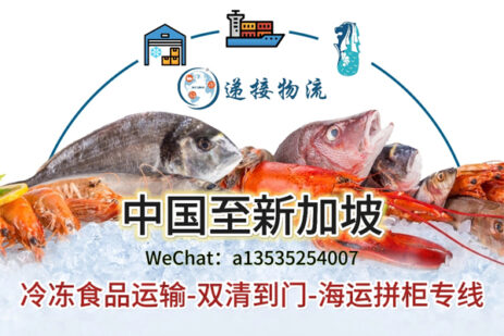 如何确保冷冻品在运输到新加坡的过程中保持最佳状态？海运冷链物流