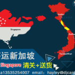 从越南到新加坡：递接物流提供快速、可靠的海运清关送货服务