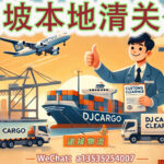 海运空运清关必看：如何在新加坡找到可靠的清关公司？DJCARGO
