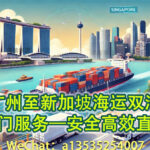 广州至新加坡海运双清 门到门服务，安全高效直达！