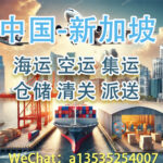 中国至新加坡集运物流哪家好？递接物流为您推荐。