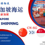 从中国运输货物至新加坡的全方位物流解决方案