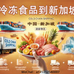 🍱 冷冻食品漂洋过海到新加坡，这条海运冷链专线了解一下！