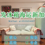 《刘女士的跨国运输体验：轻松搞定沙发和冰箱运新加坡！🚛📦》