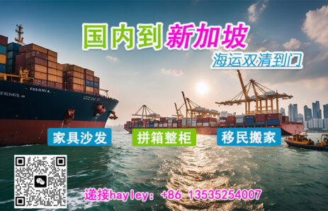 海运小白也能懂：新加坡拼箱与整柜运输全攻略