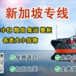 广州至新加坡货物运输全解析：海运与空运的多种选择-djcargo