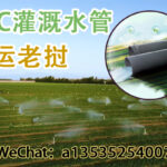 游戏机，儿童游乐设备，跳舞机到马来西亚海运无忧+双清到门